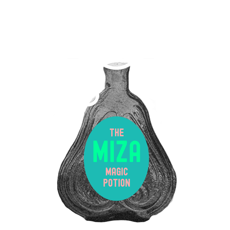 Magic potion bottle Miza